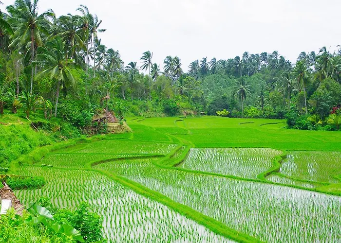 Gasthuis Rumah Pantai Bali Selemadeg (Bali)